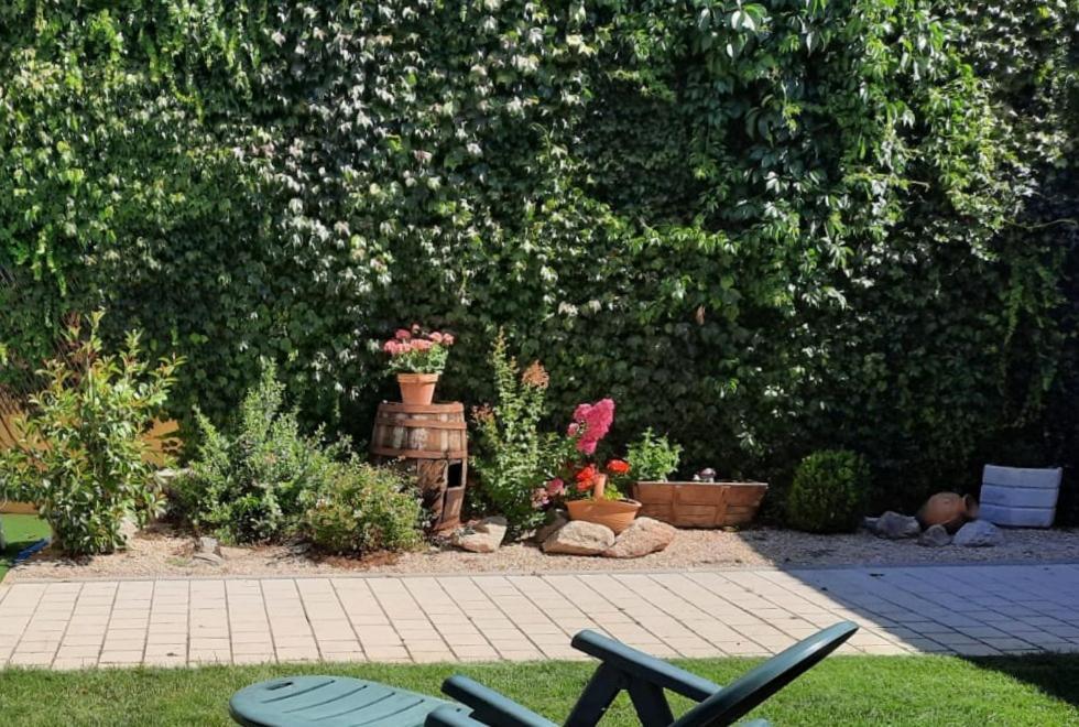 El Molino Villa Nieva  Eksteriør billede